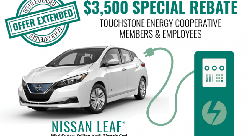 Nissan Leaf Flyer
