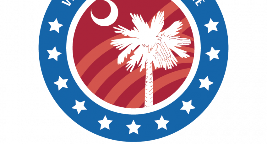 ECSC Virtual Youth Experience Logo